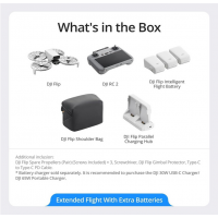 DJI Flip Fly More Combo DJI RC 2 GL
