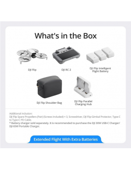 DJI Flip Fly More Combo DJI RC 2 GL